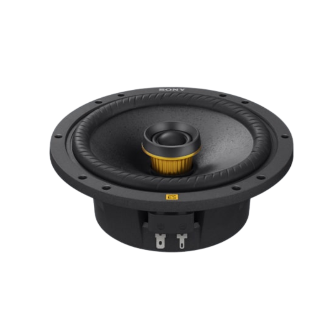 Sony 10" Elevated Series XS-W104ES